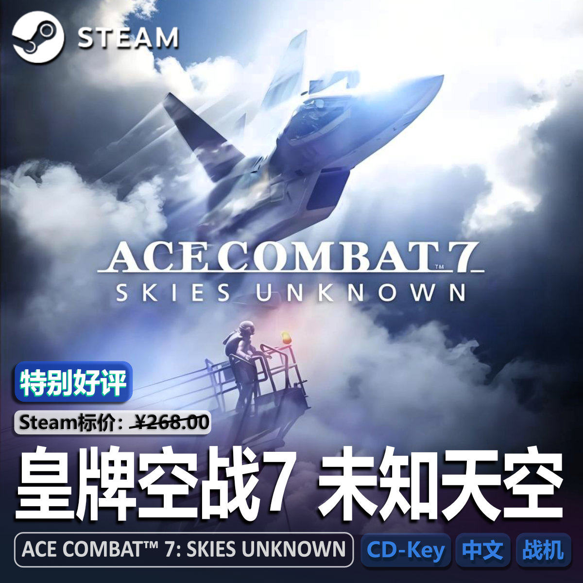皇牌空战7 未知天空(ACE COMBAT 7...)steam激活码CDK空域领域PC