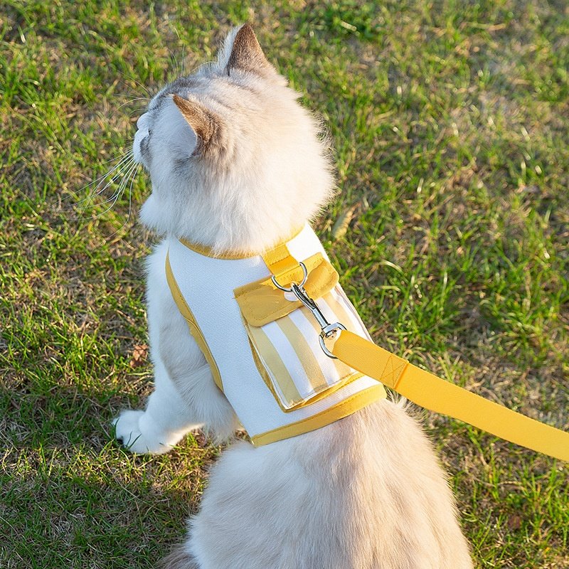 防挣脱外出胸背带绳溜猫防走丢自背包猫猫狗狗宠物绳子猫咪牵引绳,宠物/宠物食品及用品,猫牵引绳,淘宝优惠券,粉丝福利购,淘宝优惠卷