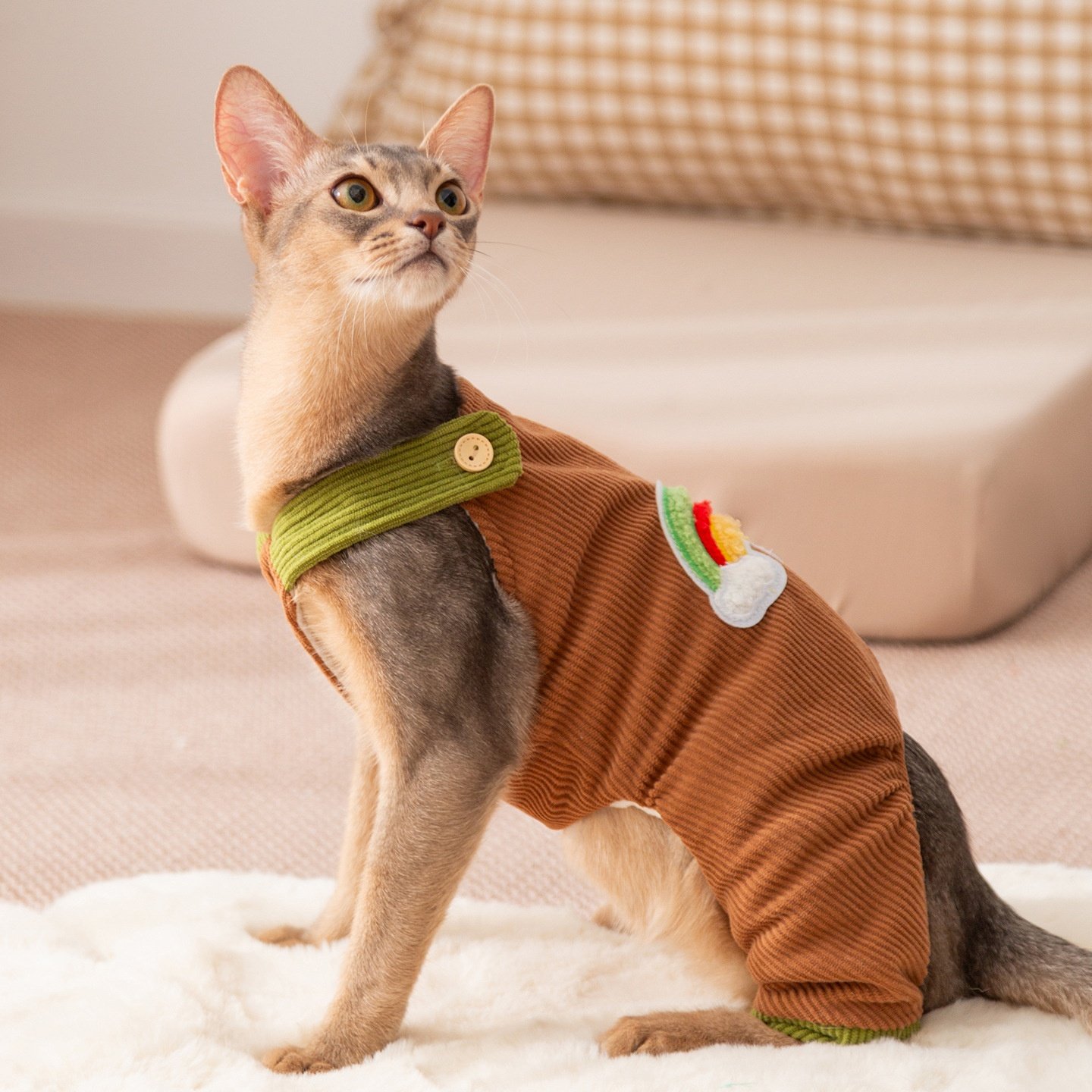 宠物衣服遇见彩虹灯芯绒背带裤德文猫无毛猫四脚加厚保暖猫咪,宠物/宠物食品及用品,狗宠物服装/雨衣,淘宝优惠券,粉丝福利购,淘宝优惠卷