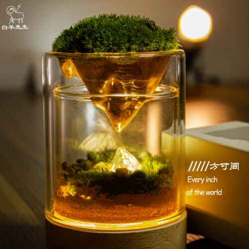 苔藓微景观生态瓶办公室桌面创意绿植室内种植小盆栽摆件礼物摸鱼