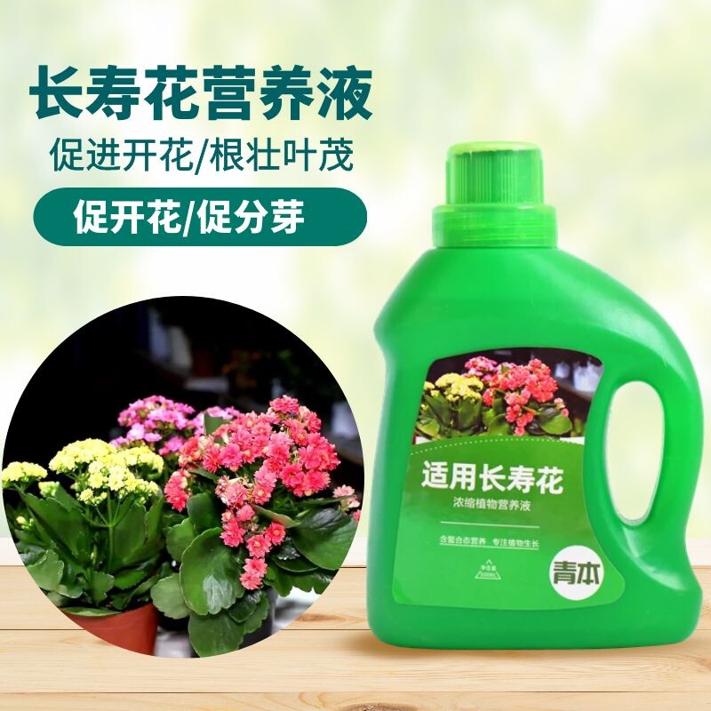 青本长寿花专用营养液