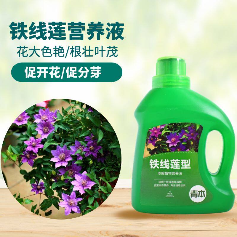 铁线莲专用营养液家庭园艺室内户外盆栽植物液体花肥