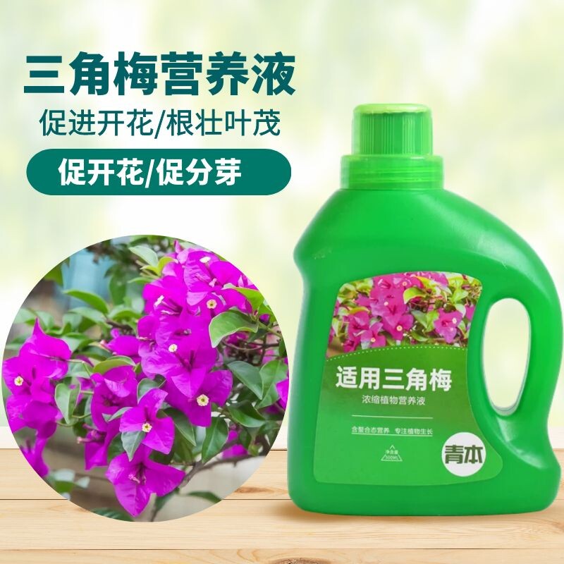 青本三角梅专用营养液