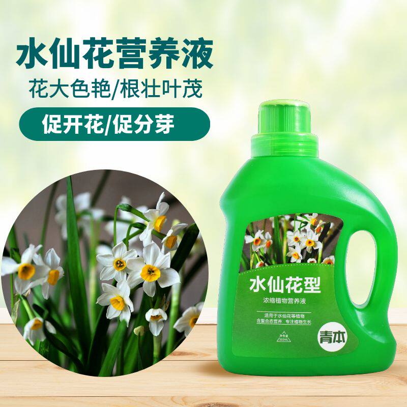 青本水仙花专用营养液