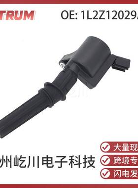 1L2Z12029AA 1L2Z-12029-AA适用于2002-2017年福特征服者点火线圈