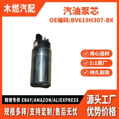适用福克斯2012 外贸款 汽油泵芯 BV619H307-BX