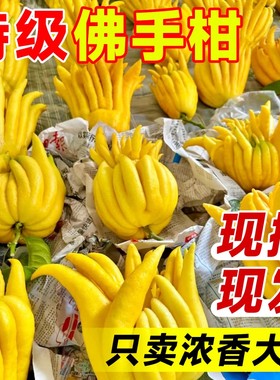 佛手柑鲜果新鲜佛手瓜切带枝室内摆件清供观赏闻香可食用花卉盆栽