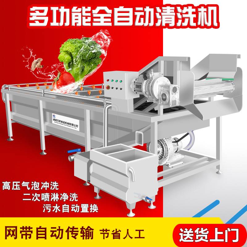 厂家现货洋葱清洗机 银耳清洗蒸煮加工设备 气泡式红枣加工设备