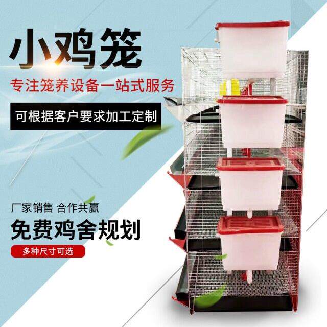 小鸡笼立式雏鸡笼子阶梯式后热镀锌鸡笼三层层叠小鸡笼4层养笼具