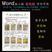 绿豆芽生长手抄报观察植物生长电子word版 可改 小报观察日记竖版