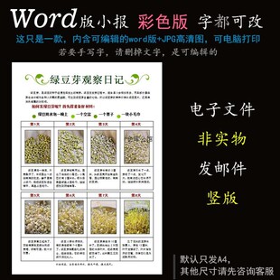 绿豆芽生长手抄报观察植物生长电子word版 可改 小报观察日记竖版