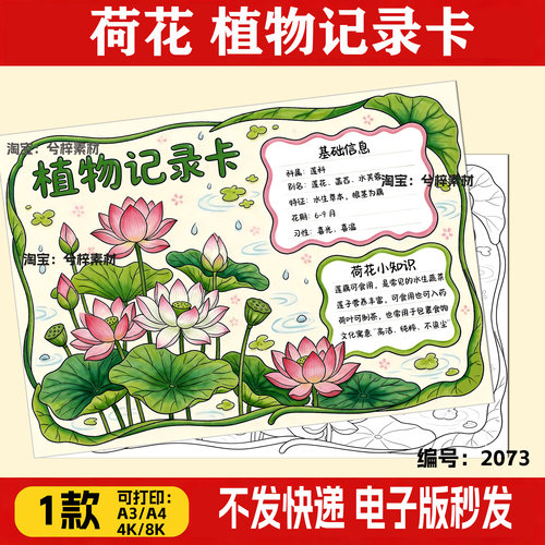 植物记录卡三年级手抄报荷花黑白线稿A3A4可打印电子模板自然笔记