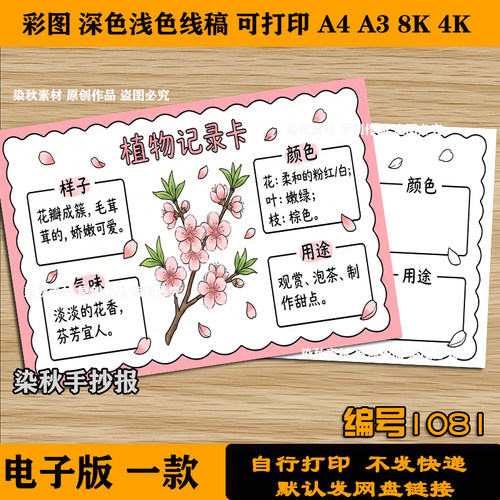 桃花植物记录卡手抄报小学生观察记录卡植物名片模板电子版线稿