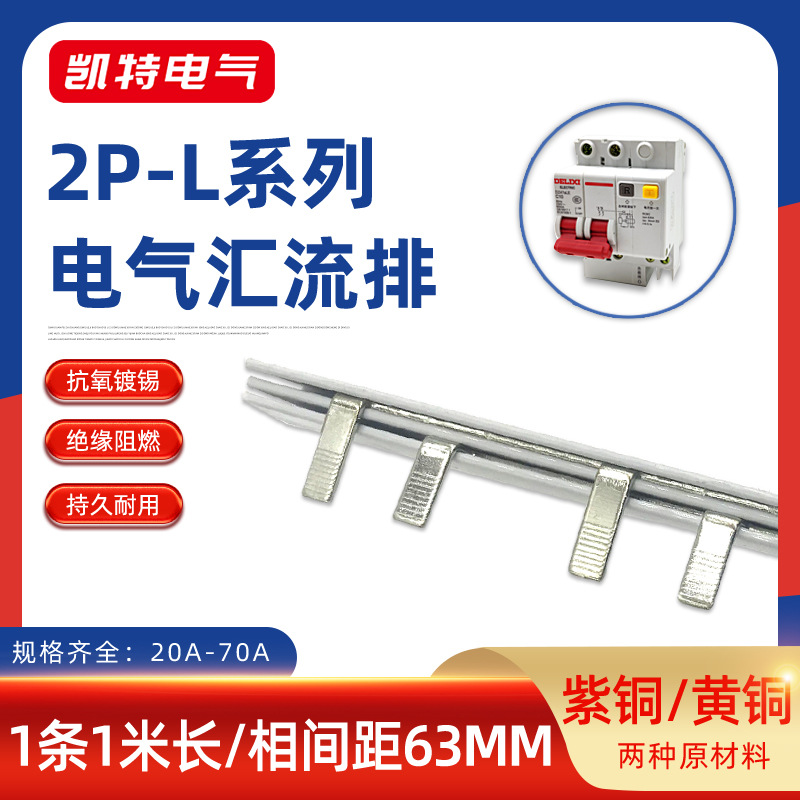 2P漏电63A汇流排20A-70A紫铜黄铜