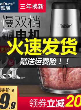 汉佳欧斯电动绞肉家用和面绞菜机