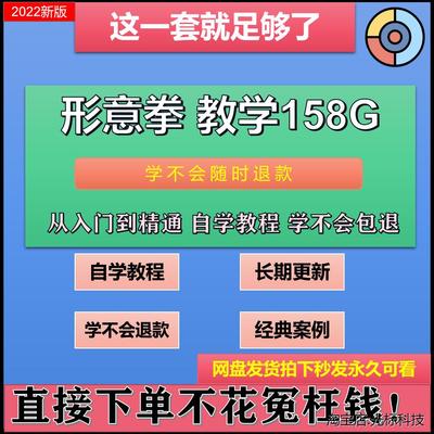 形意拳影片教程名师教学讲解内家拳功夫站桩拳法内功套路武术实用