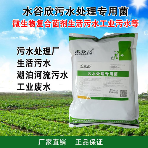 水谷欣污水处理专用菌