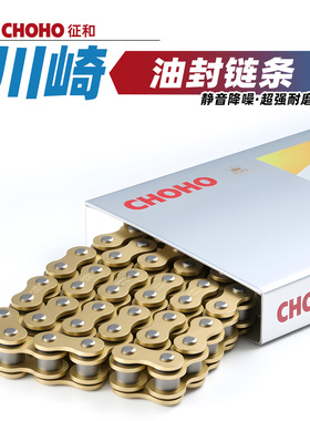 适用于川崎Versys650摩托车X300 Vulan S 500 ZX-10R征和油封链条