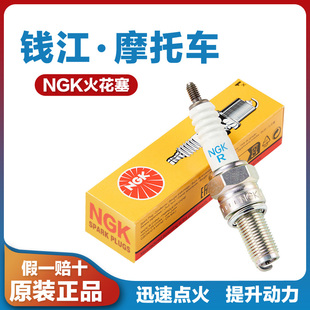 适用于钱江鸿125摩托车TAN125鸿150朗悦优悦提诺火花塞