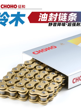 适用铃木GSX-8S摩托车GSX-8R V-Stron650 800 1050征和油封链条