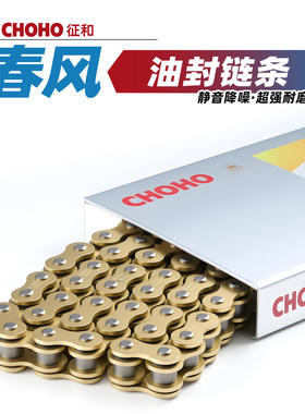适用于春风250SR摩托车400NK 650MT GT国宾车700CL-X征和油封链条