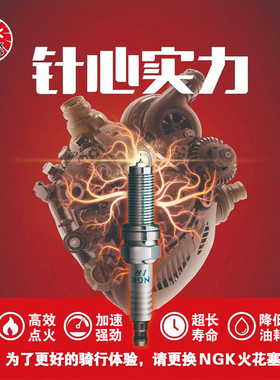 适用于NLP Devils摩托车Ultail边三轮NGK火花塞