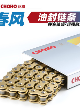 适用于春风250SR摩托车400NK 650MT GT国宾车700CL-X征和油封链条