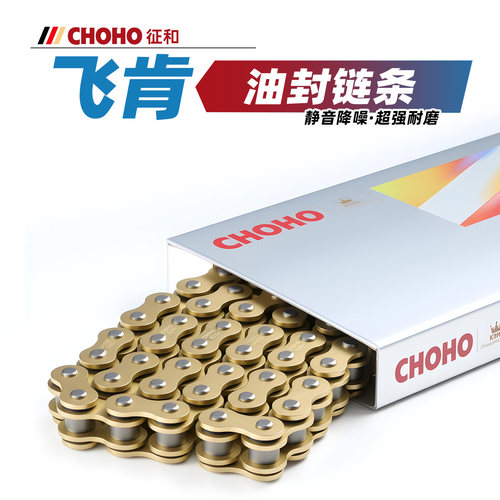 适用于飞肯FKM FK 3GP摩托车原厂征和油封链条