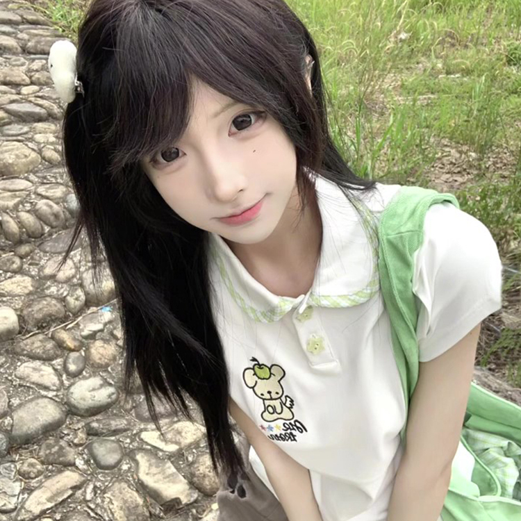 夏日青苹果小狗刺绣正肩polo衫短袖t恤女修身显瘦纯欲甜美短上衣
