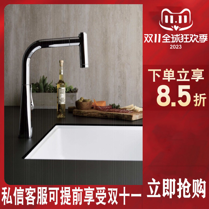 日本进口水槽hs700台上树脂彩色