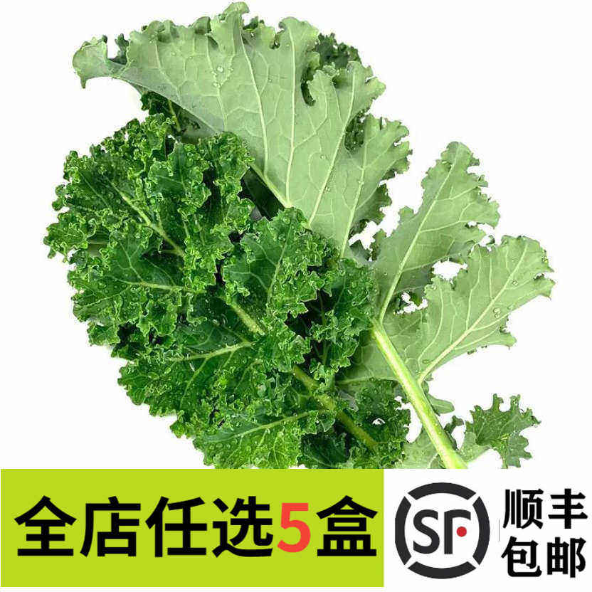 新鲜羽衣甘蓝 嫩叶 250g 健身减脂榨汁轻食蔬菜沙拉配菜