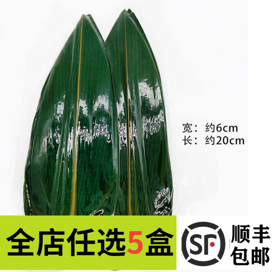 小粽叶100片 日本料理竹叶 寿司料理小竹叶 箬叶  餐饮摆盘装饰