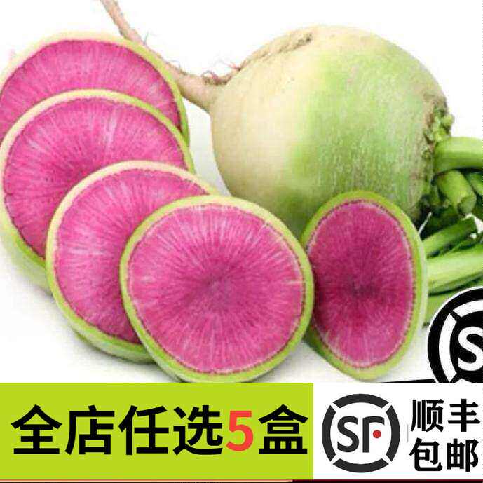 新鲜心里美500g水果萝卜