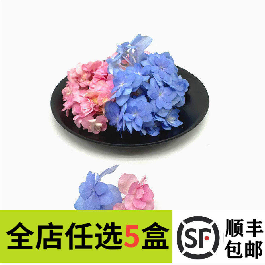 新鲜绣球花 双色重瓣绣球花50朵 酒店饭店西餐冷艺摆盘装饰花草