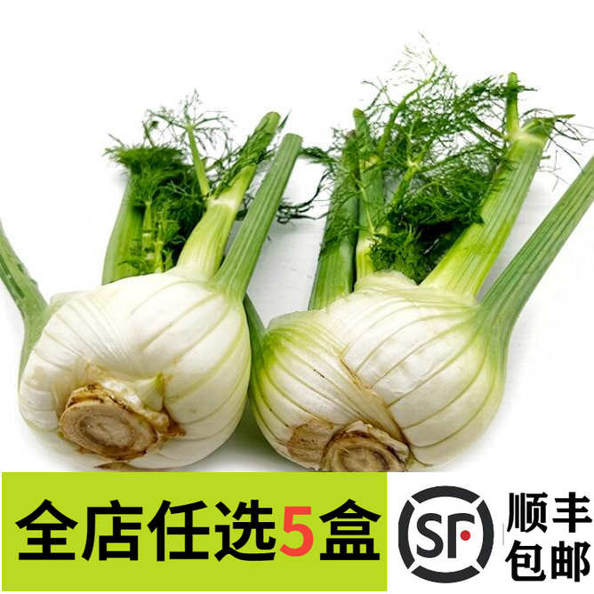 新鲜蔬菜茴香头球茎茴香西餐香料茴香根西餐配菜可炒牛肉 500g