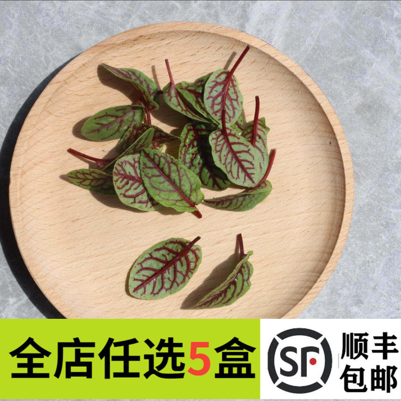新鲜红脉酸膜叶80片酸模叶红酸模草酢浆草食用花酒店摆盘装饰点缀