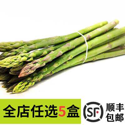 新鲜蔬菜龙须菜芦笋当季绿芦