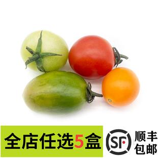 饰点缀 水果千禧果沙拉食材酒店西餐摆盘装 新鲜多色小番茄 圣女果