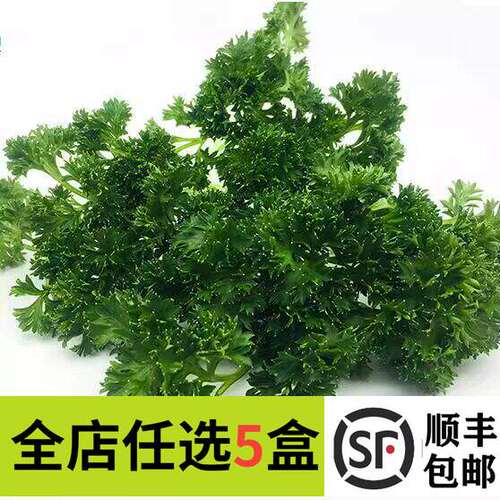 新鲜荷兰芹250g法香反