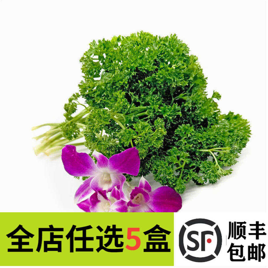 新鲜杨兰花荷兰芹套装500g
