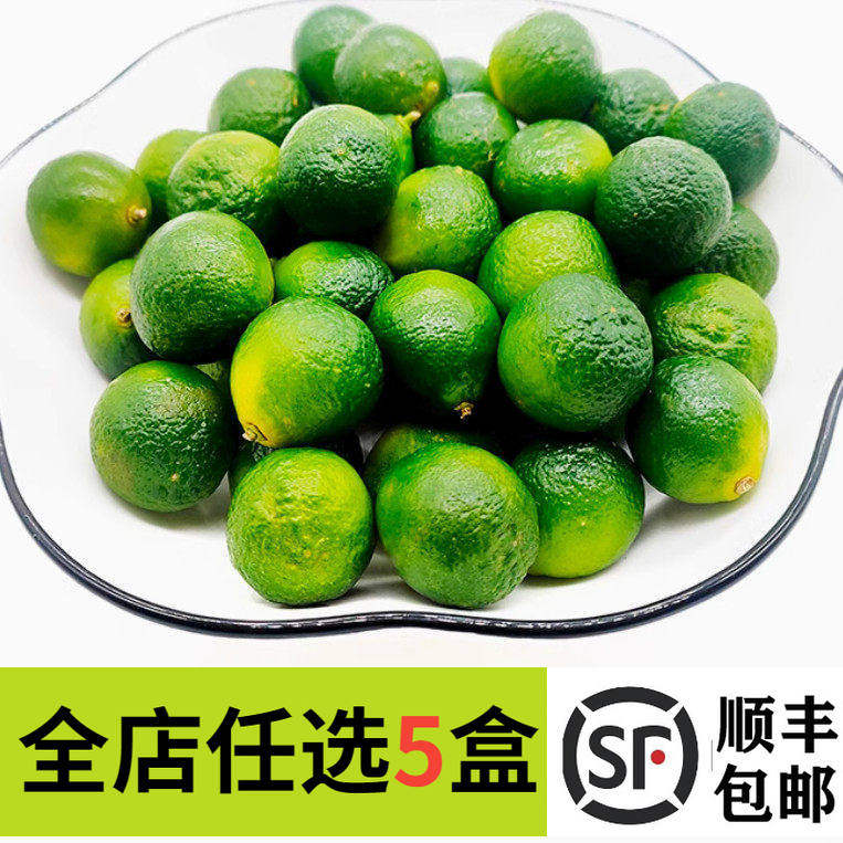 海南青金桔500g 小金桔 新鲜水果 小青桔 奶茶店果饮果茶果汁