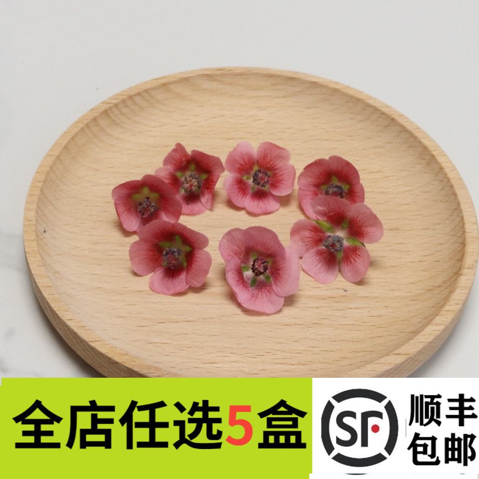 迷你小木槿花 新鲜木瑾花 酒店西餐冷艺摆盘装饰点缀 40朵/盒