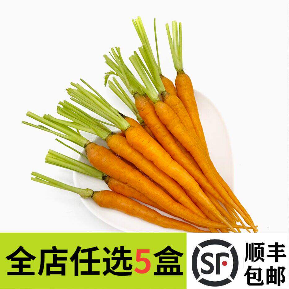 新鲜去叶水果手指胡萝卜500g 迷你小胡萝卜轻食蔬菜西餐沙拉食材
