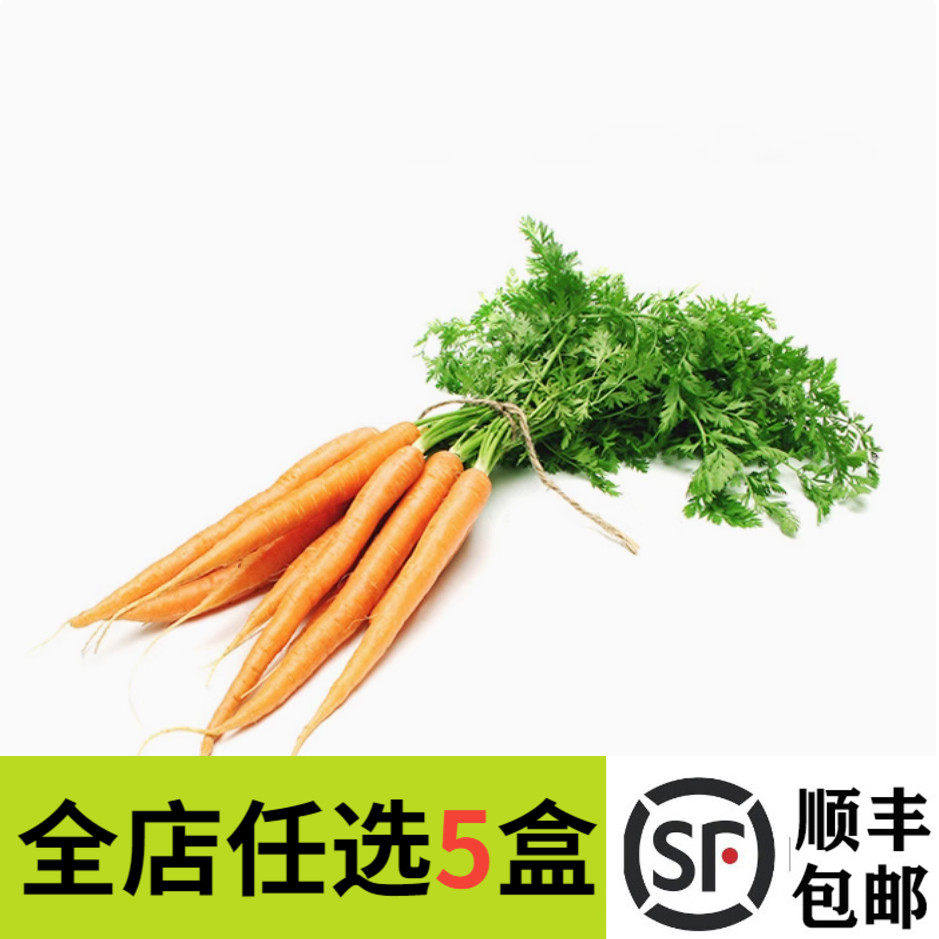 新鲜手指胡萝卜带叶500g 迷你胡萝卜蔬菜沙拉酒店西餐摆盘装饰菜
