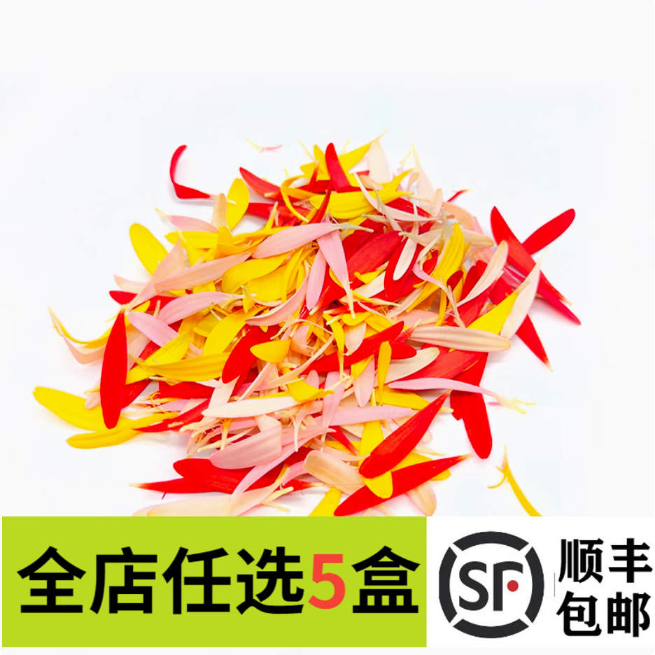 新鲜金盏丝20g太阳花瓣