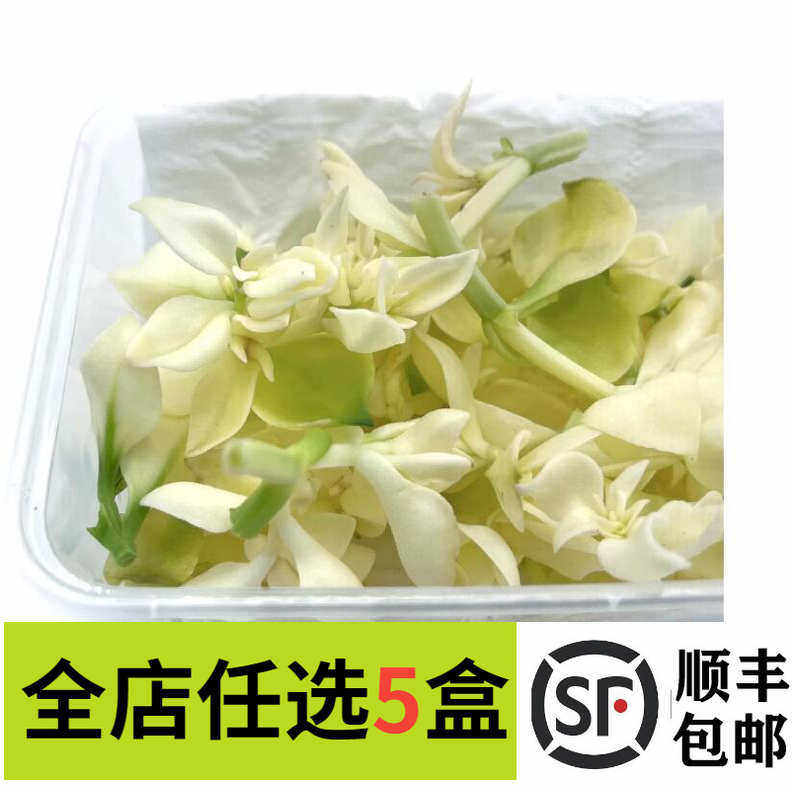 新鲜蔬菜雪莲心白冰草天山雪莲心酒店西餐摆盘装饰搅拌菜点缀花草