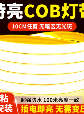 led灯带户外防水灯条COB线形灯客厅自粘220v超亮室外亮化硅胶灯带