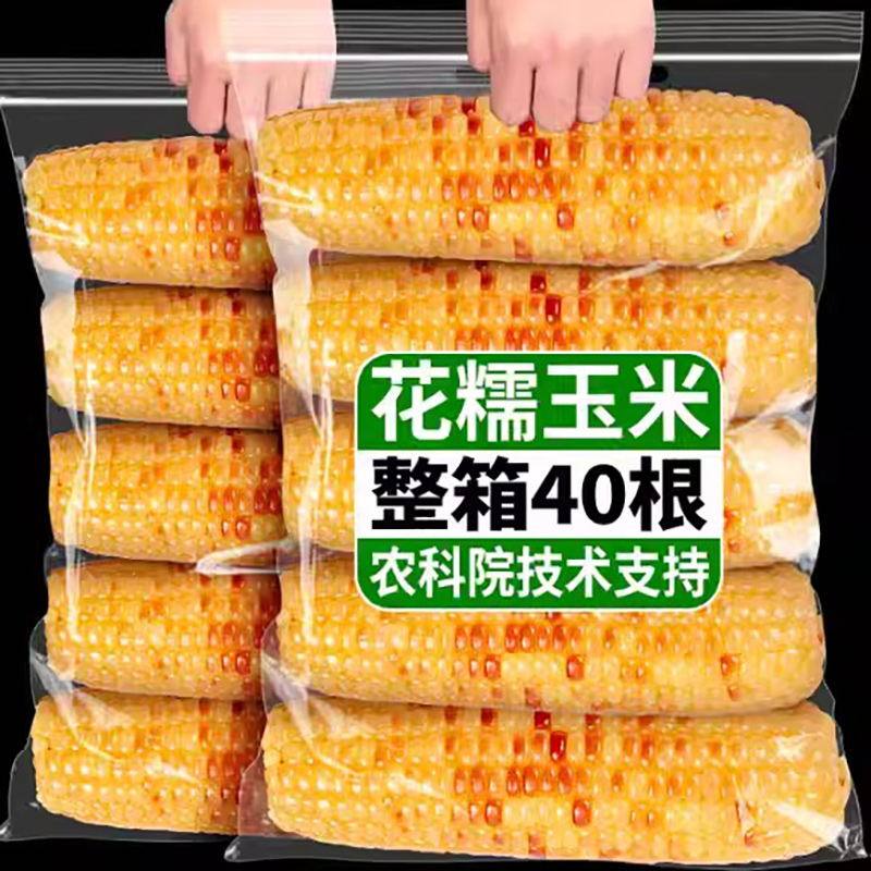 10斤云南西双版纳香糯小玉米