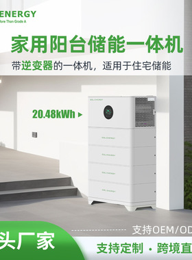 跨境直供10.24kWh 200ah锂电池户外一体机可出口亚洲非洲储能电池