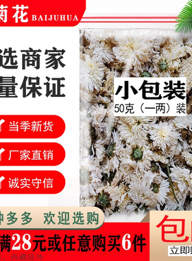 新花白菊花茶黄山贡菊胎菊王头采杭白菊贡菊花茶泡茶清肝明目去火